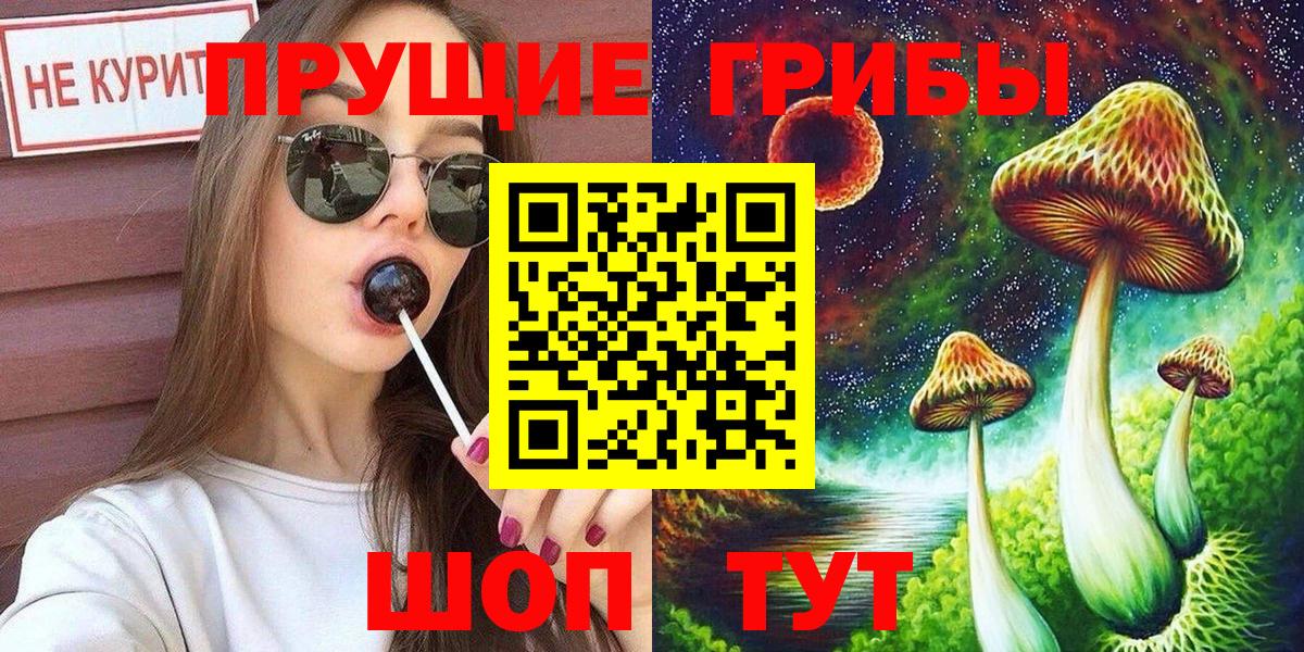 Псилоцибиновые грибы MAGIC MUSHROOMS  дарнет шоп  Сергиев Посад  Вход с VPN 